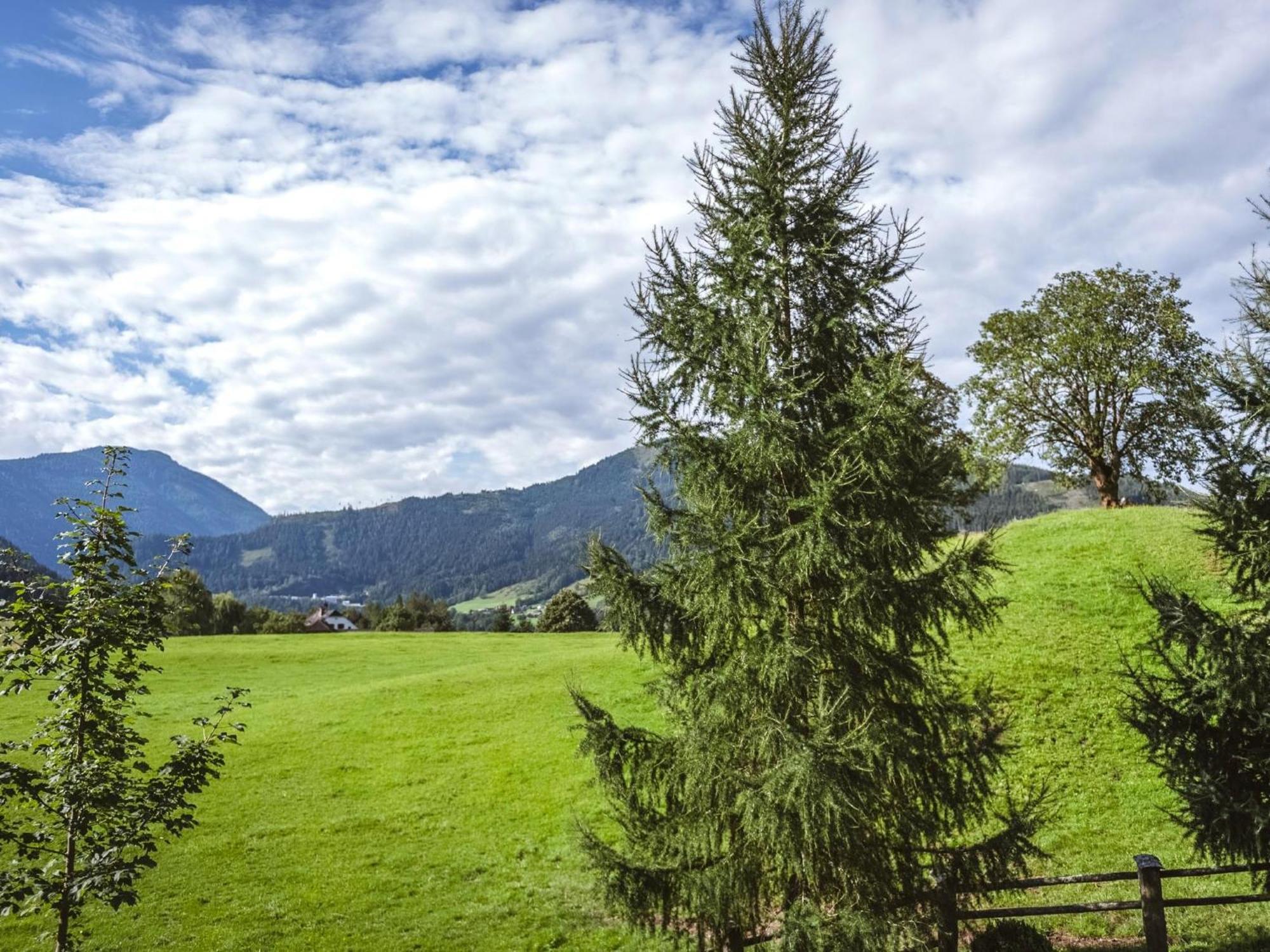 Naturpark Chalet Schladming-Dachstein Grosssolk Ngoại thất bức ảnh